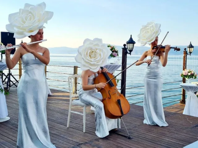 Trio Müzik Grubu