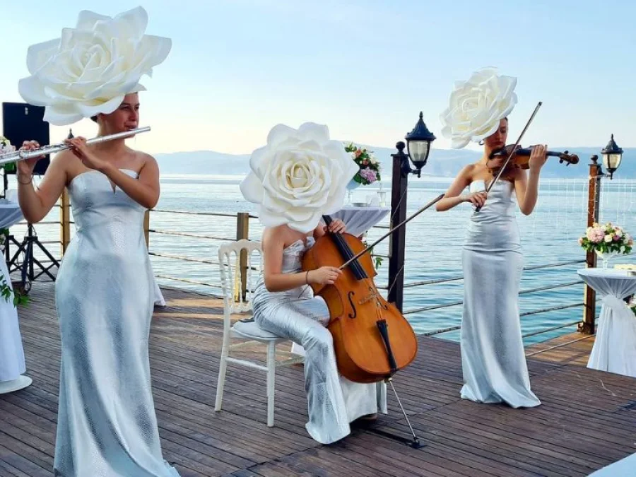 Trio Müzik Grubu