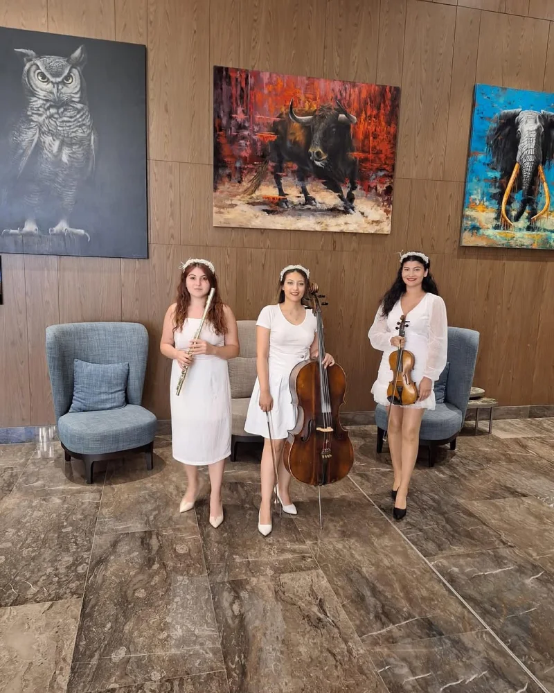 Arya Trio galeri