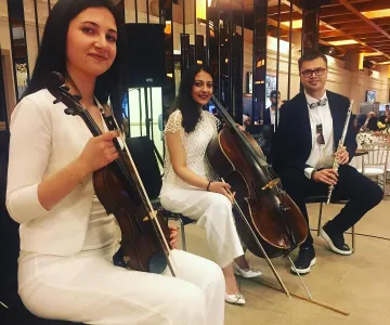 Arya Trio galeri