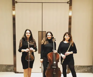 Arya Trio galeri