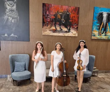 Arya Trio galeri