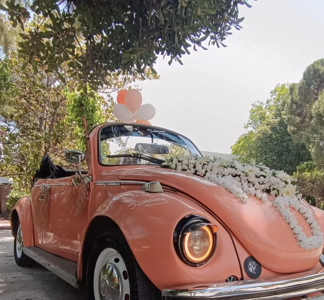 Cabrio Vosvos 1975 galeri