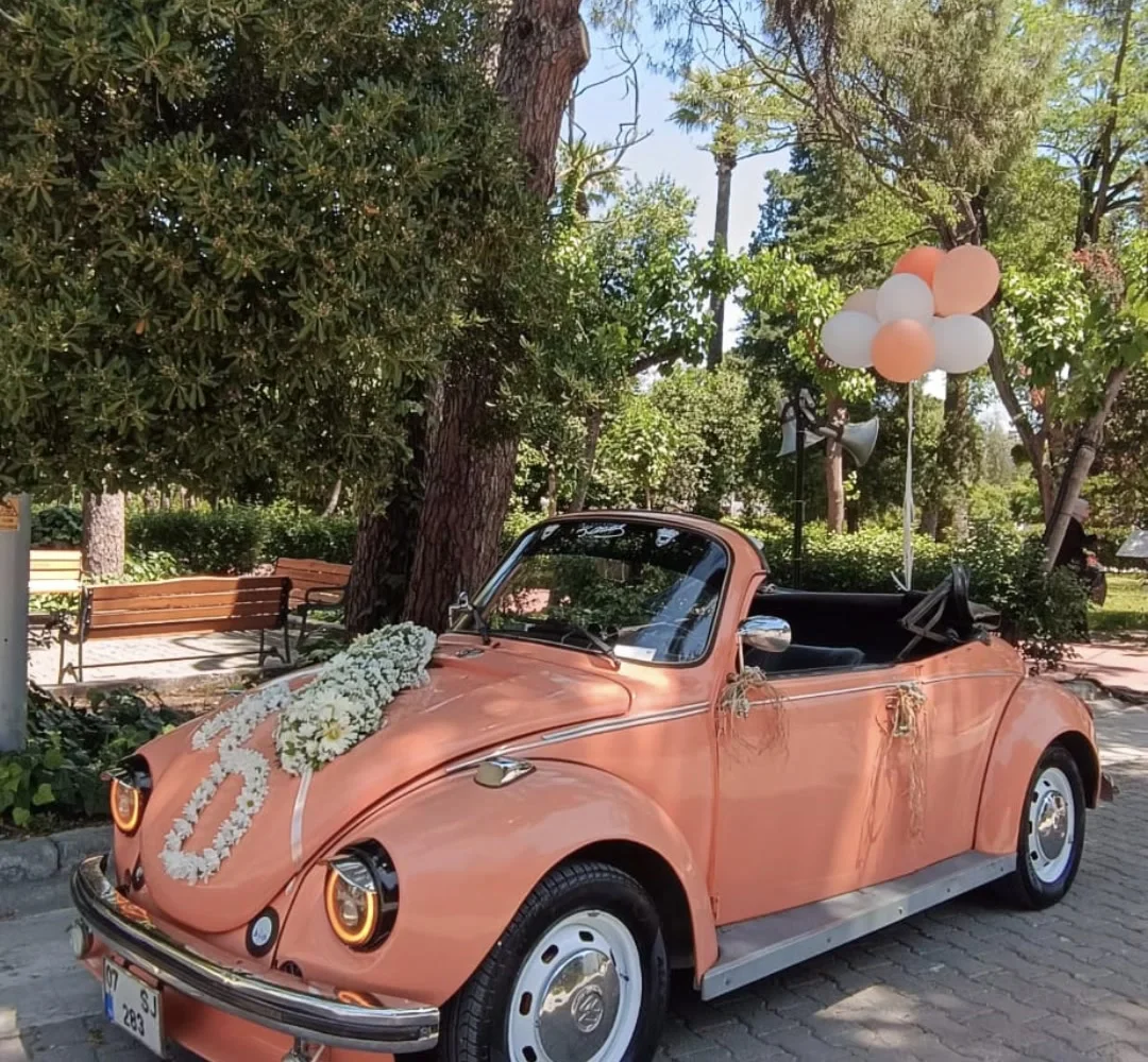 Cabrio Vosvos 1975 galeri
