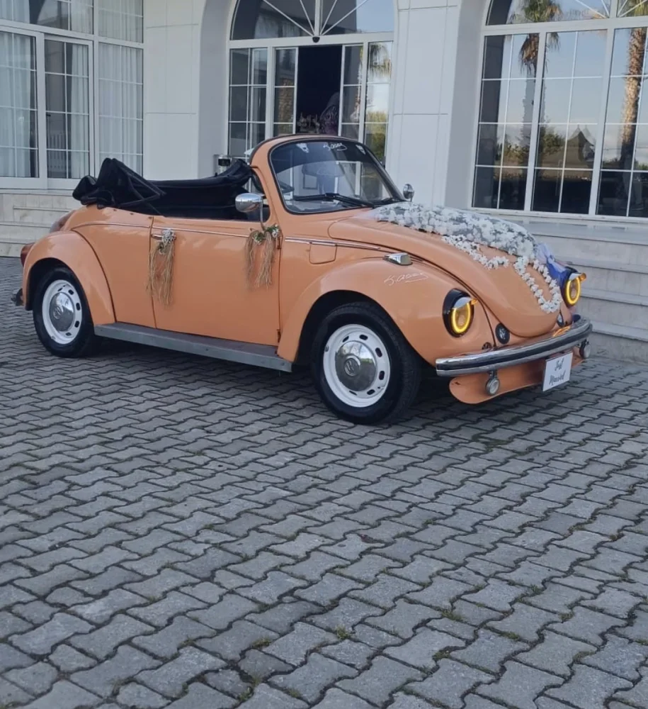 Cabrio Vosvos 1975 galeri