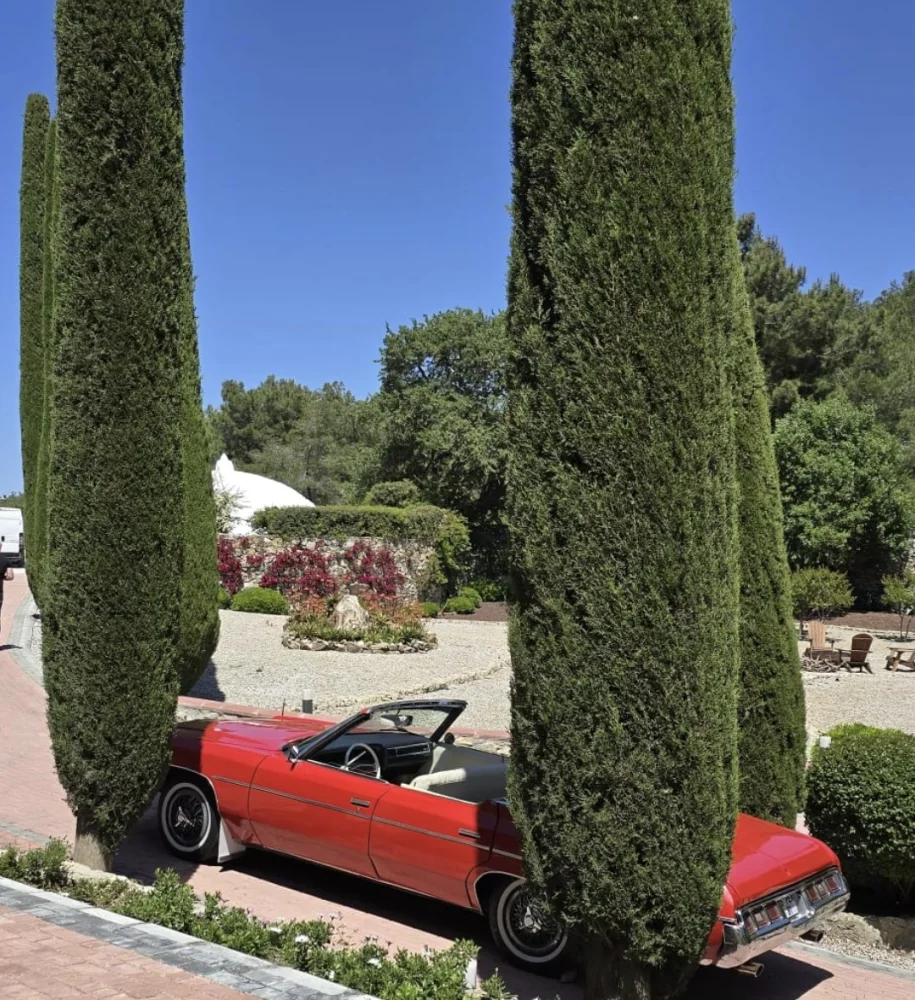 Chevrolet Impala 1973 galeri