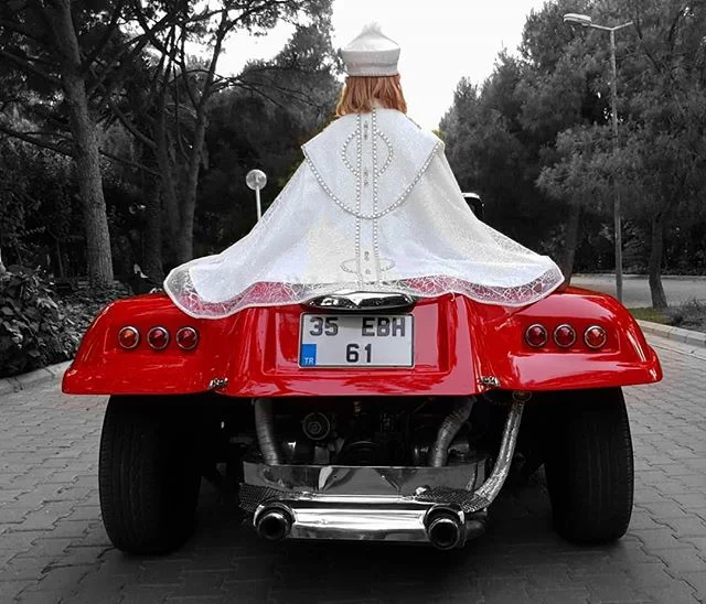 Meyers Manx galeri