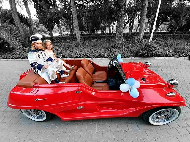 Meyers Manx galeri